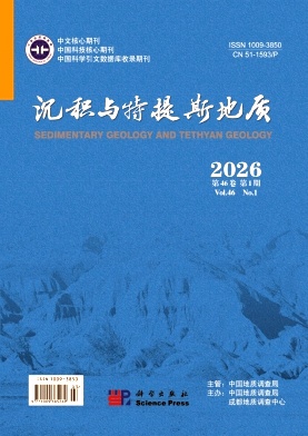 沉积与特提斯地质封面